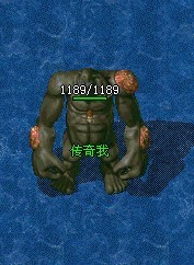 装备展示